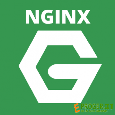 Nginx: client intended to send too large body
