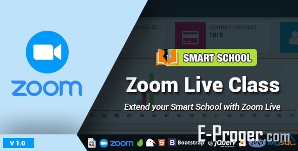 Умная школа Zoom Live Class v1.0
